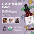 thumbnail image 3 of MaryRuth Organics Herbal Blend Kidney & Bladder Supplement, Juniper Berry, Gluten Free, 1 fl oz (30 mL), 3 of 10