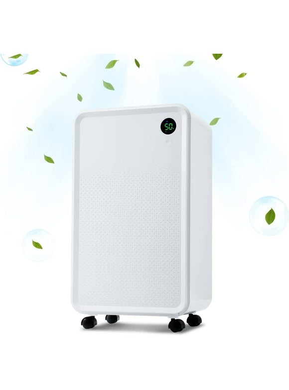 Basement Dehumidifiers in Dehumidifiers