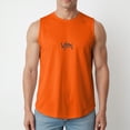 thumbnail image 2 of Ccpelsie Mens Vacation Tank Top Summer Sleeveless Beach Soft Muscle Tee Comfort Lightweight Casual(Orange,2XL), 2 of 9