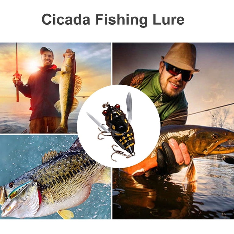 cicada lure fishing 1Pcs Lure, Lifelike 3D Holographic Eyes Freshwater Bait Rattle for Aggressive Bass Suitable for Fishing Enthusiasts : Sports & Outdoors The Reef Runner Cicada blade bait is perfect for casting and jigging Realistic Cicada Shaped Fishing Lures