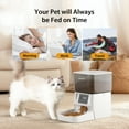 thumbnail image 6 of dudupet Automatic Cat Feeder,4L Timed Cats Food Dispenser Smart Pet Feeder Dogs 1-4 Meals per Day, 6 of 9