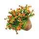 thumbnail image 5 of GOOHOCHY Plantas artificiales, bonsái decorativo de plástico, para decoración del hogar (naranja), 5 of 6