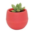 thumbnail image 2 of Plastic Flower Pot Succulent Pot Mini Seedling Flower Container Plastic Flower Pot For Garden Courtyard Balcony, 2 of 2