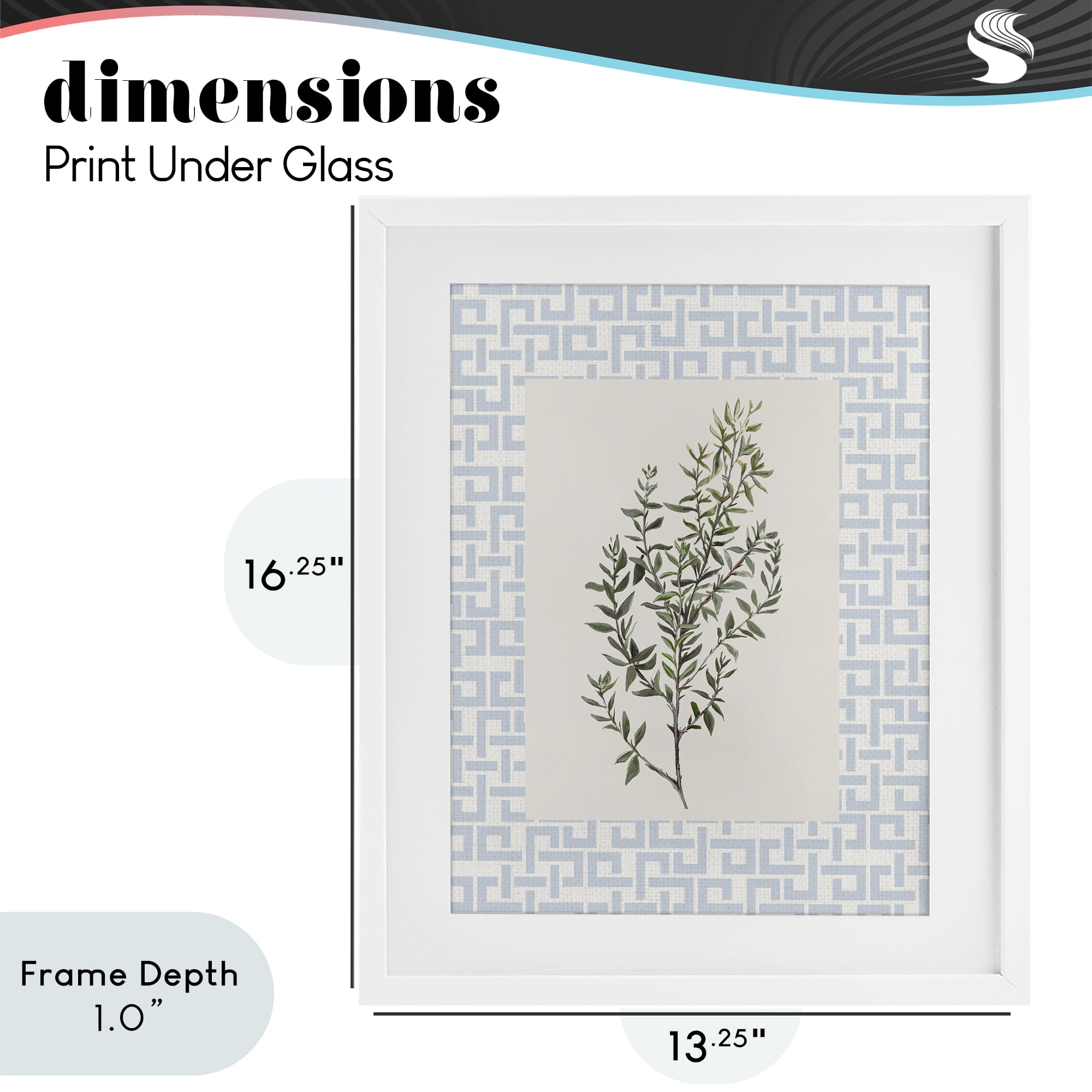 Stupell Industries Leafy Herb on Geometric White Framed Print Under Glass, design by Diannart
