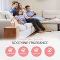 thumbnail image 2 of 6oz Room Spray Brooklyn Fragrance Co - Arches - Ombre Peony and Prosecco, 2 of 7