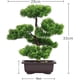 thumbnail image 2 of Decoración de árbol bonsái artificial ZHCH pino japonés en maceta 33 cm, 2 of 4