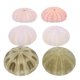 thumbnail image 2 of 6 piezas de decoración de erizos de mar para acuario, adornos de escritorio, estilo variado, 2 of 7