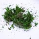 thumbnail image 1 of Musgo artificial Liquen Simulación Plantas verdes falsas Césped artificial Adorno en miniatura Jardín Césped Micro, 1 of 2