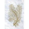 thumbnail image 2 of Murdock, Ramona 13x18 White Modern Wood Framed Museum Art Print Titled - Feathery Sea Fern I, 2 of 4