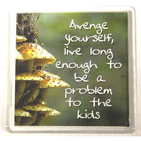 

Sentiments Magnets - Avenge Yourself- Live Longer Enough to Be a Problem to the Kids