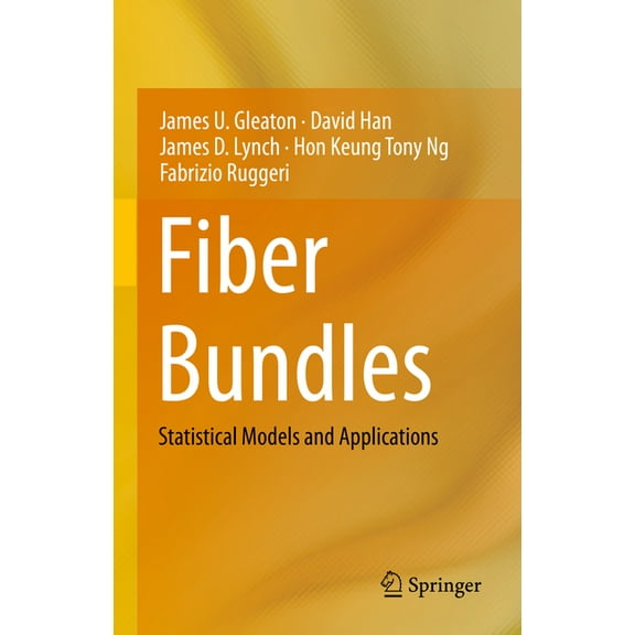 Springerbriefs in Statistics Fiber Bundles: Statistical Models and Applications, (Hardcover)
