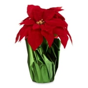 Holiday Time Red Velvet Poinsettia Pot
