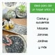 thumbnail image 4 of Piedra Decorativa - Ideal para macetas, Jardines, decoración Smart Garden Granulometría Chica, Sea Stone, 4 of 6