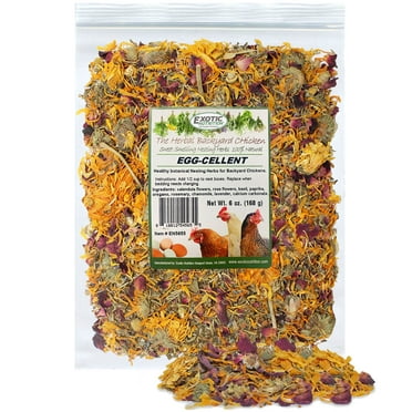 EXOTIC NUTRITION EGG-CELLENT (6oz) CHICKEN NESTING HERBS