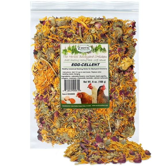EXOTIC NUTRITION EGG-CELLENT (6oz) CHICKEN NESTING HERBS