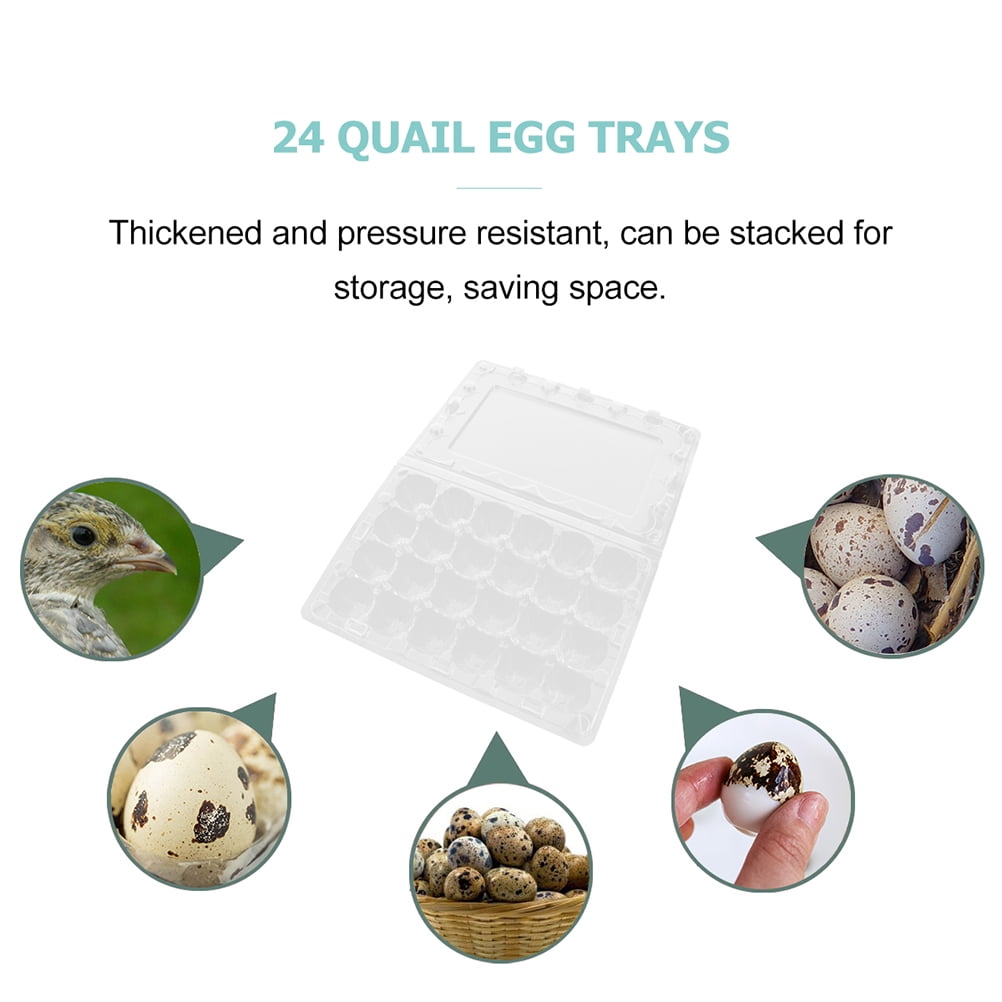 24PCS Quail Egg Carton Transparent Quail Eggs Storage Holder Premium Egg Carton