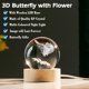 thumbnail image 2 of Bola de cristal IFOLAINA Butterfly 3D de 60 mm con luz multicolor, 2 of 7
