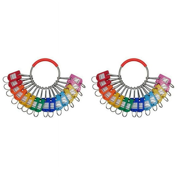 2X Portable Metal Ring Key Organizer with 16 Spring Hooks & Key Tags with Ring and Label Window,2 x Ring Key Organizer,Multicolor