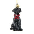 thumbnail image 2 of Noble Gems‚Ñ¢ Black Labrador Retriever Glass Ornament, 2 of 2