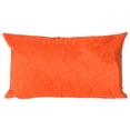 thumbnail image 2 of Liora Manne Visions II Coussin d'Accent Intérieur Extérieur, Homard, 12 x 20 Pouces, 2 of 5