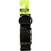 Nyl Adj Collar Blk Big Dog