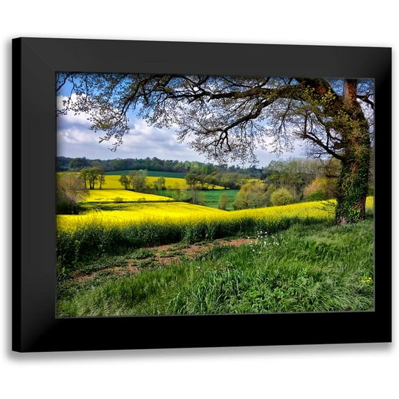Chester, Colby 14x12 Black Modern Framed Museum Art Print Titled - Pastoral Countryside XIV