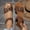 Brown, variant on Rvasteizo Women Casual Shoes Solid Round Toe Open Toe Buckle Strap Summer All Match Daily Wear