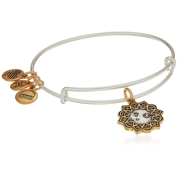Alex and Ani Women's Aries Two Tone Bangle Bracelet