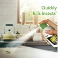 thumbnail image 3 of Raid Essentials Fly, Gnat, And Mosquito Killer 28, 3 of 5