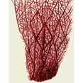 thumbnail image 3 of Fab Funky 15x18 Black Modern Framed Museum Art Print Titled - Red Corals 2 f, 3 of 5