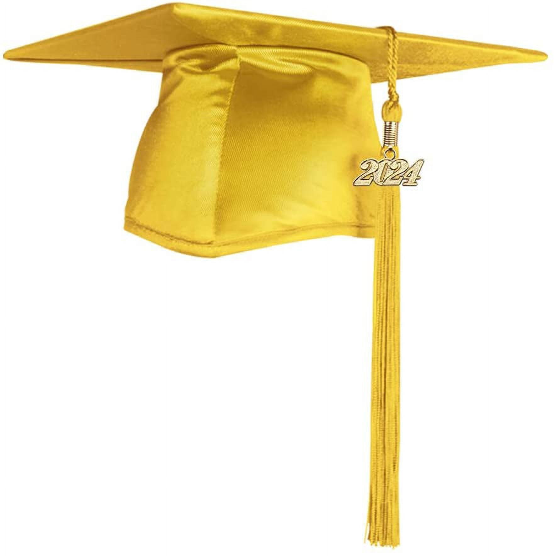 Endea Graduation Tassel Gold Bling Charm Date Drop Year (Gold, 2024) 