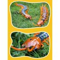 thumbnail image 4 of Jouet Électrique Animal Infrarouge Télécommandé Cadeau de Noël pour Enfant Noir, 4 of 10