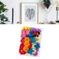 thumbnail image 4 of Fleurs Séchées, Têtes de Fleurs Séchées Styles Assortis 36Pcs pour DIY, 4 of 8