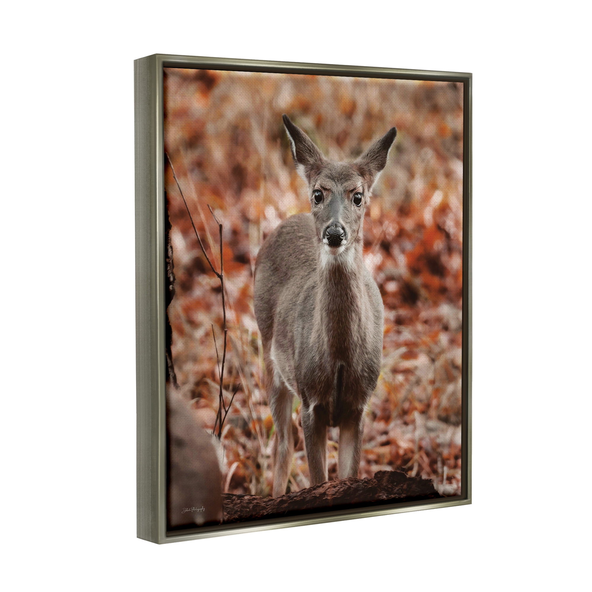 Stupell Industries Fawn in Autumn Nature Animals & Insects Photography Gray Floater Framed Art Print Wall Art, 25 x 31