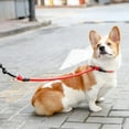 thumbnail image 5 of Adjustable Nylon Dog Loop Slip Rope Leash Lead Training P Choke Pet Collar S M L, 5 of 5