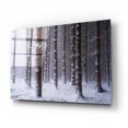 thumbnail image 2 of Epic Art 'Red Woods' by Martin Podt, Acrylic Glass Wall Art, 24"x16", 2 of 8