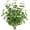 3d Real Touch Eucalyptus, variant on Brinory Fall Eucalyptus Stems Decor, 5Pcs 23" Artificial Eucalyptus Branches Autumn Leaves Fake Plants Floral Arrangements Thanksgiving Farmhouse Home Table Decorations