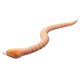 thumbnail image 4 of Juguete de serpiente de cascabel con control remoto para bromas de Halloween: regalo creativo y duradero con cargador USB, 4 of 5