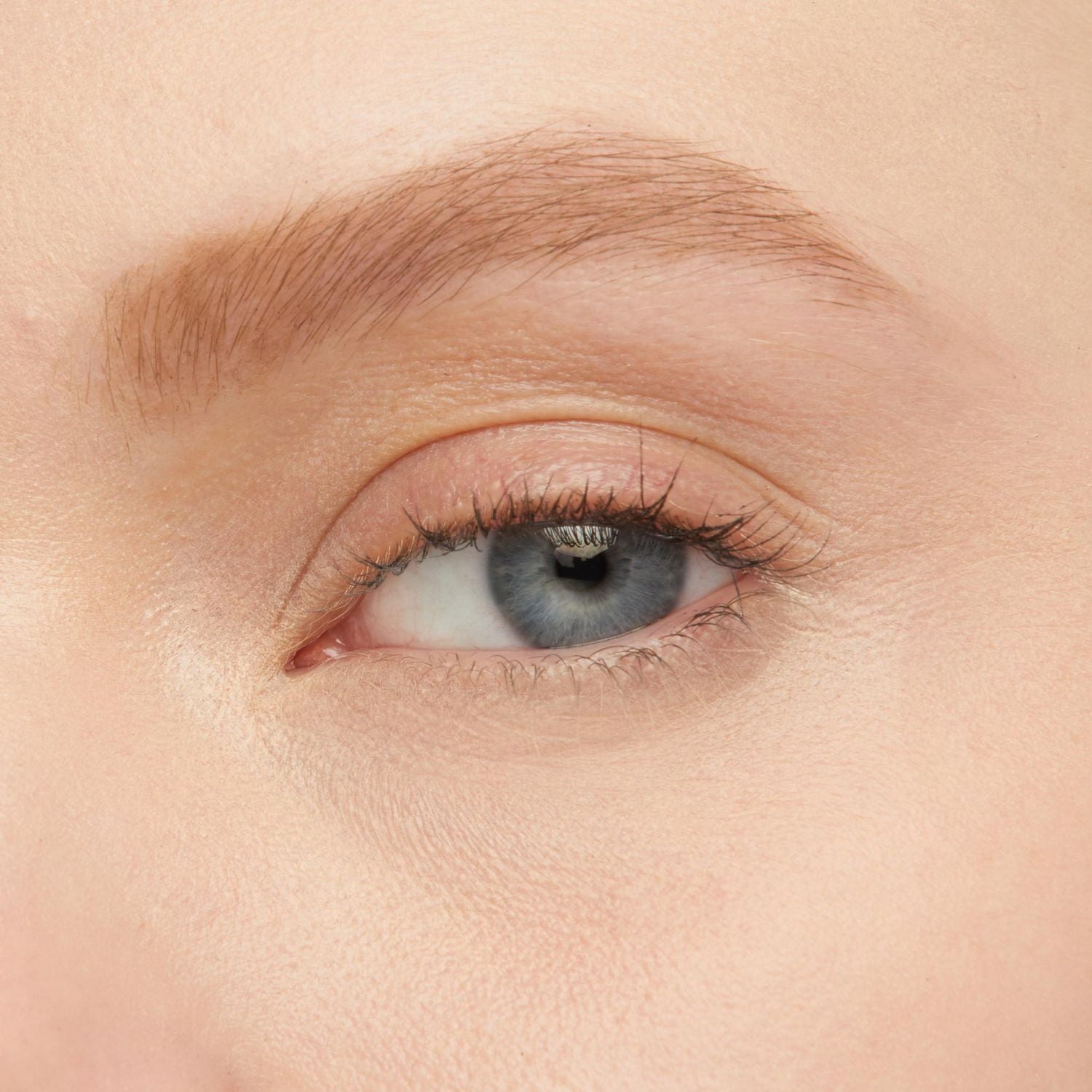 Maybelline Gel Tattoo Brow 3 Jours, hydrofuge, couleur ultrapigmentée Gel pour sourcils 3 Jours