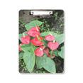 thumbnail image 1 of Flor Roja Vela Portapapeles Carpeta de escritura Placa de soporte A4, 1 of 4