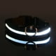 thumbnail image 3 of Glow-In-The-Dark Pet Collar For Small Medium Dogs, LED Dog Collar For Night Walking, 3 of 5