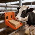 thumbnail image 4 of Livestock Salt Block Holder, Heavy-Duty Plastic Lick Block Feeder, Wall-Mounted Mineral Block Bracket for Cattle Goats Sheep Horses-8x8x8Inch(Orange), 4 of 5