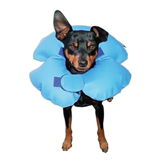inflatable dog cone walmart