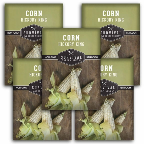 5 Packs Hickory King Corn Seeds - White Field or Dent Corn - Non-GMO Heirloom Annual Full Sun
