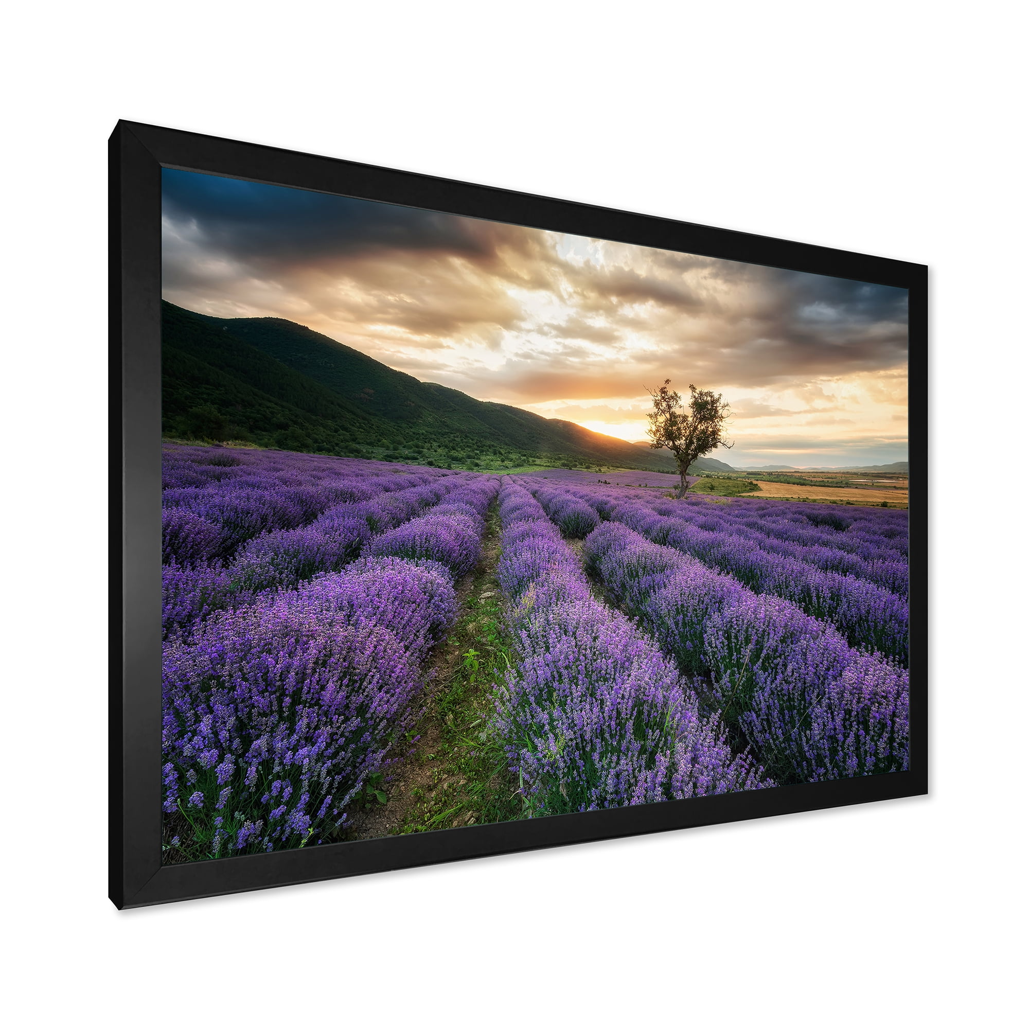 Designart 'Dramatic Clouds and Sunrise Over Lavender Field VII' Farmhouse Framed Art Print