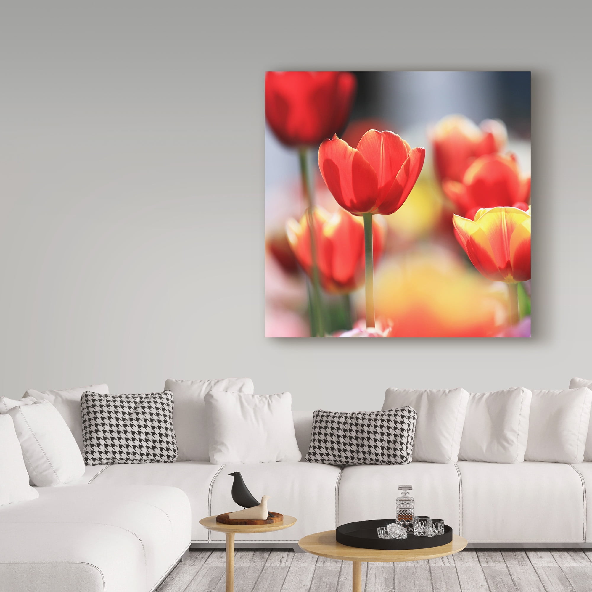 Trademark Fine Art 'Shining Bright' Canvas Art by Beata Czyzowska Young