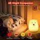 thumbnail image 5 of Luz de noche Big Bear para niños, lámpara de noche para bebés, luz de noche para niños, luz de noche portátil de silicona con control remoto/táctil/ajustable, 5 of 5