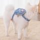 thumbnail image 4 of Escape-Proof Dog Harness Set: Adjustable Vest Harness & Rope for Stress-Free Walks!, 4 of 5