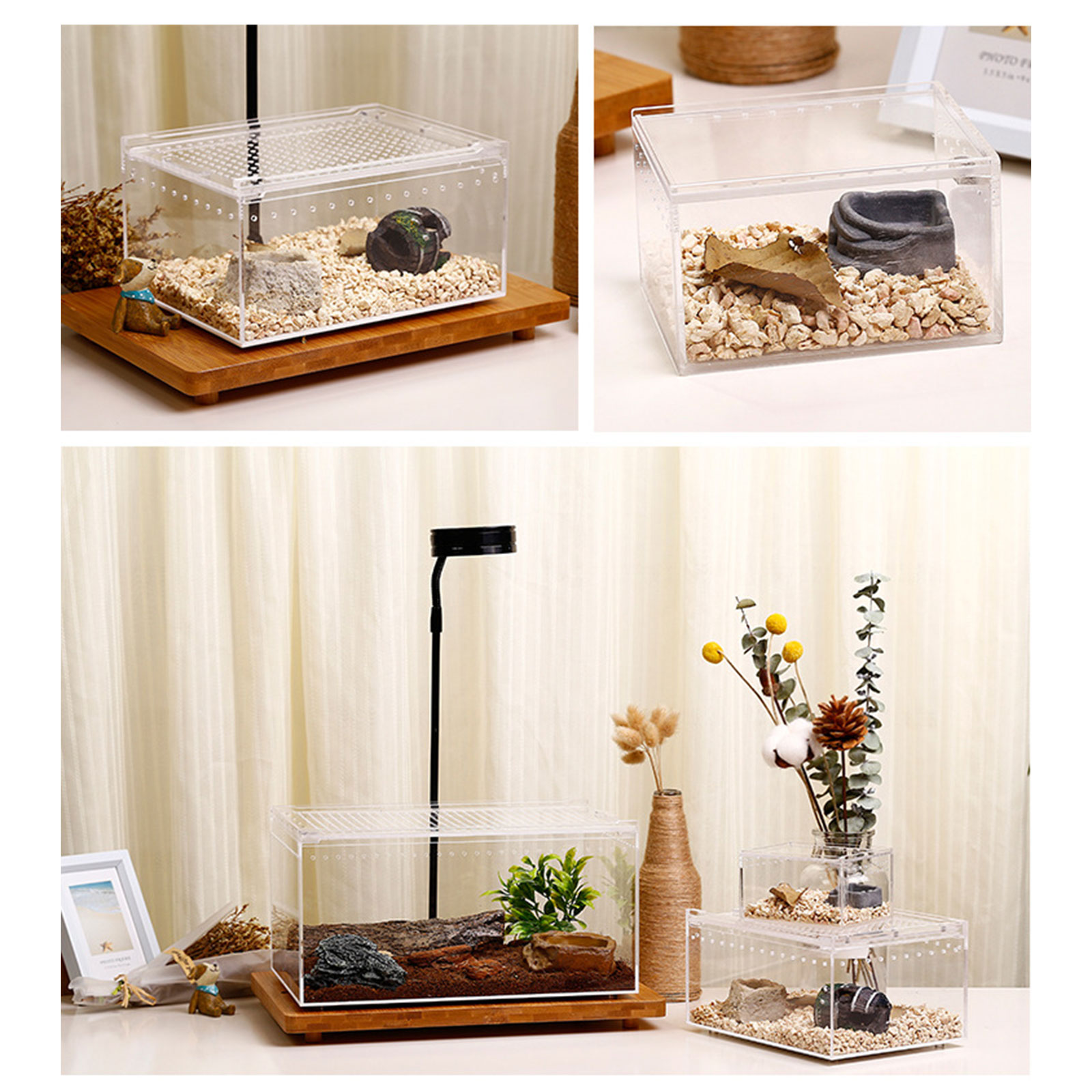 Reptile Box Feeding Small Pet Horned Spider Lizards Snail Snake Clear Designed Box Silkworms Snake House