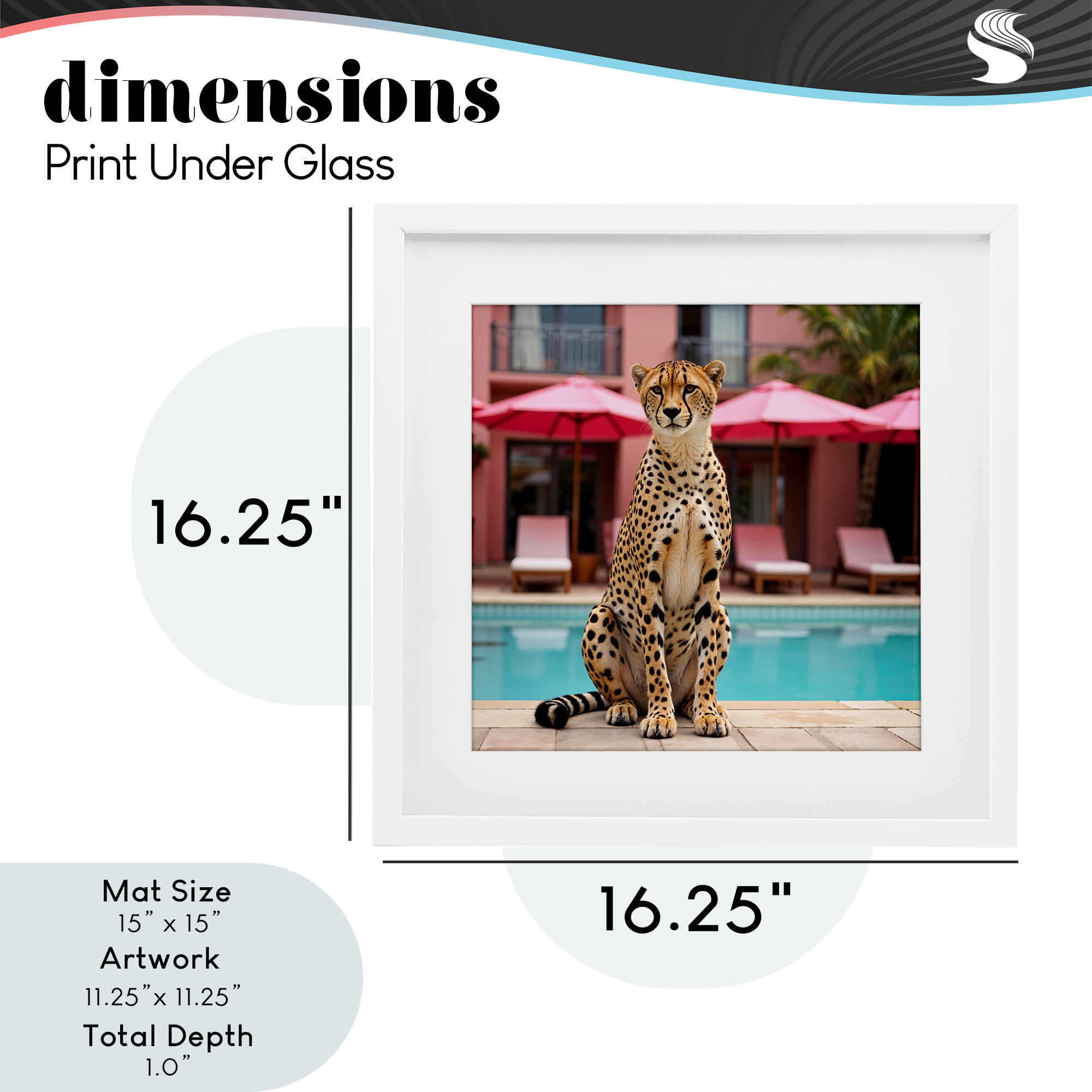 Cheetah Posed at Poolside White Framed Print Under Glass, design by Lettered and Lined